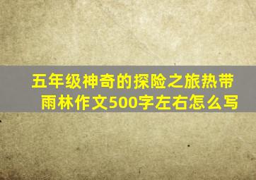 五年级神奇的探险之旅热带雨林作文500字左右怎么写