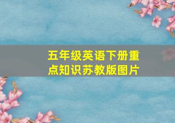 五年级英语下册重点知识苏教版图片