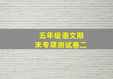 五年级语文期末专项测试卷二