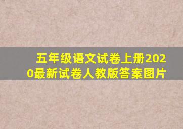 五年级语文试卷上册2020最新试卷人教版答案图片