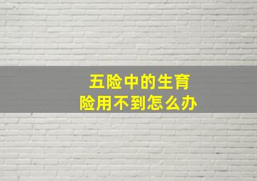 五险中的生育险用不到怎么办