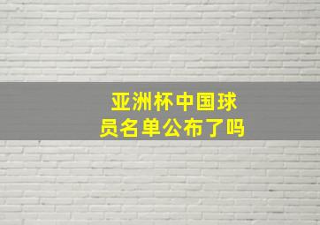 亚洲杯中国球员名单公布了吗