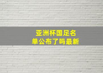 亚洲杯国足名单公布了吗最新