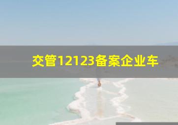 交管12123备案企业车