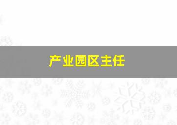 产业园区主任