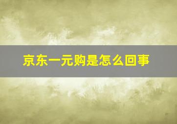 京东一元购是怎么回事