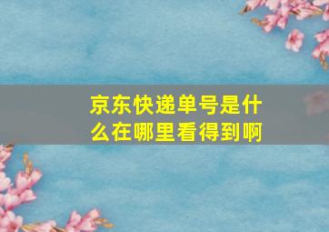 京东快递单号是什么在哪里看得到啊