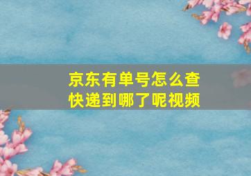 京东有单号怎么查快递到哪了呢视频