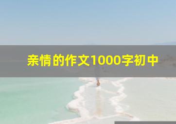 亲情的作文1000字初中