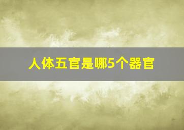 人体五官是哪5个器官