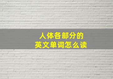 人体各部分的英文单词怎么读