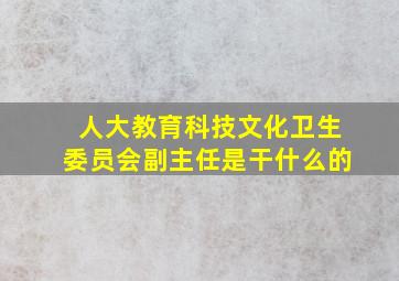 人大教育科技文化卫生委员会副主任是干什么的