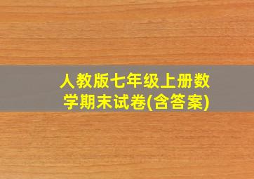 人教版七年级上册数学期末试卷(含答案)