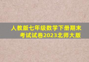 人教版七年级数学下册期末考试试卷2023北师大版