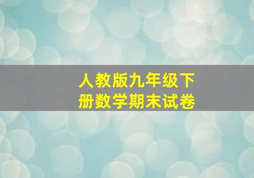 人教版九年级下册数学期末试卷