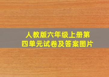 人教版六年级上册第四单元试卷及答案图片