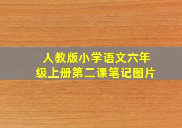 人教版小学语文六年级上册第二课笔记图片