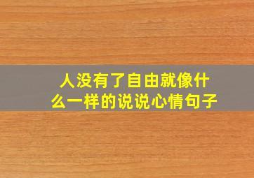 人没有了自由就像什么一样的说说心情句子