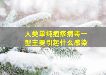 人类单纯疱疹病毒一型主要引起什么感染