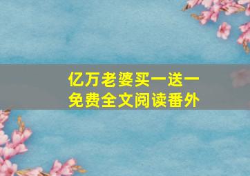 亿万老婆买一送一免费全文阅读番外