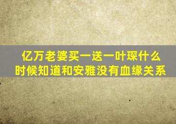 亿万老婆买一送一叶琛什么时候知道和安雅没有血缘关系