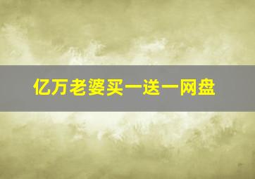 亿万老婆买一送一网盘