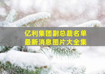 亿利集团副总裁名单最新消息图片大全集