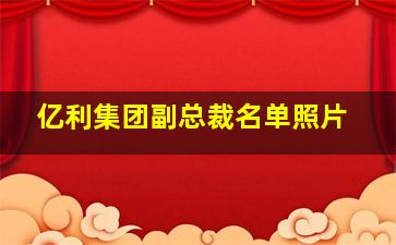 亿利集团副总裁名单照片