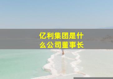 亿利集团是什么公司董事长