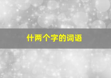 什两个字的词语