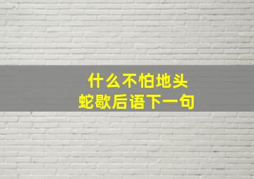 什么不怕地头蛇歇后语下一句