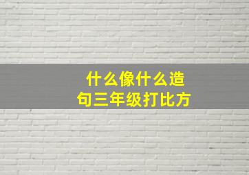 什么像什么造句三年级打比方