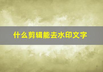 什么剪辑能去水印文字