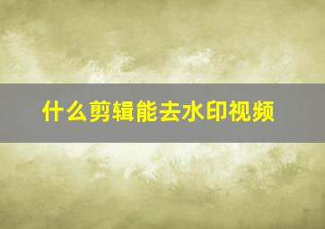 什么剪辑能去水印视频