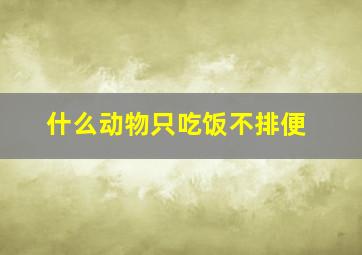 什么动物只吃饭不排便