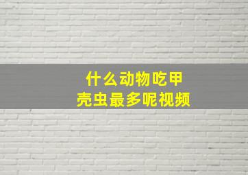 什么动物吃甲壳虫最多呢视频