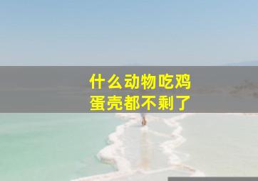 什么动物吃鸡蛋壳都不剩了