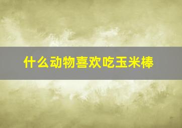 什么动物喜欢吃玉米棒