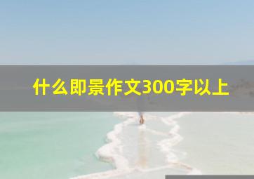 什么即景作文300字以上