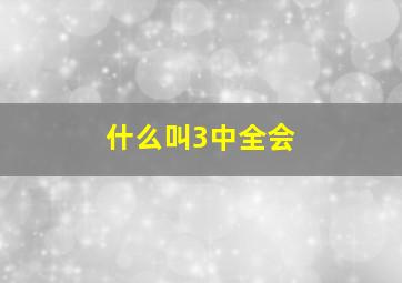 什么叫3中全会