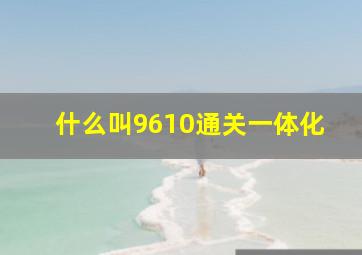 什么叫9610通关一体化