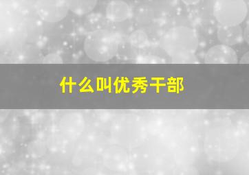 什么叫优秀干部