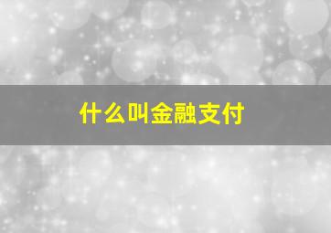 什么叫金融支付