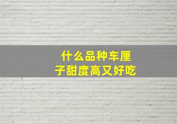 什么品种车厘子甜度高又好吃