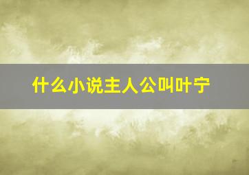 什么小说主人公叫叶宁