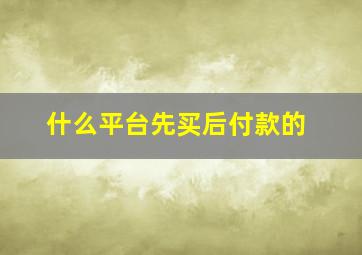 什么平台先买后付款的