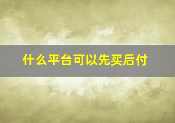 什么平台可以先买后付