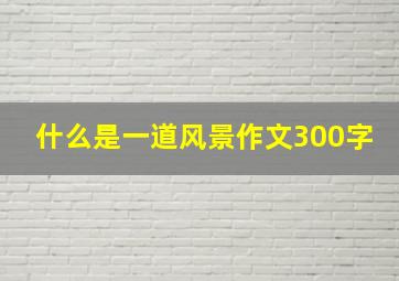 什么是一道风景作文300字