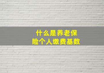 什么是养老保险个人缴费基数