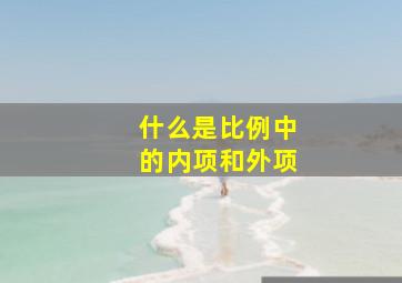 什么是比例中的内项和外项